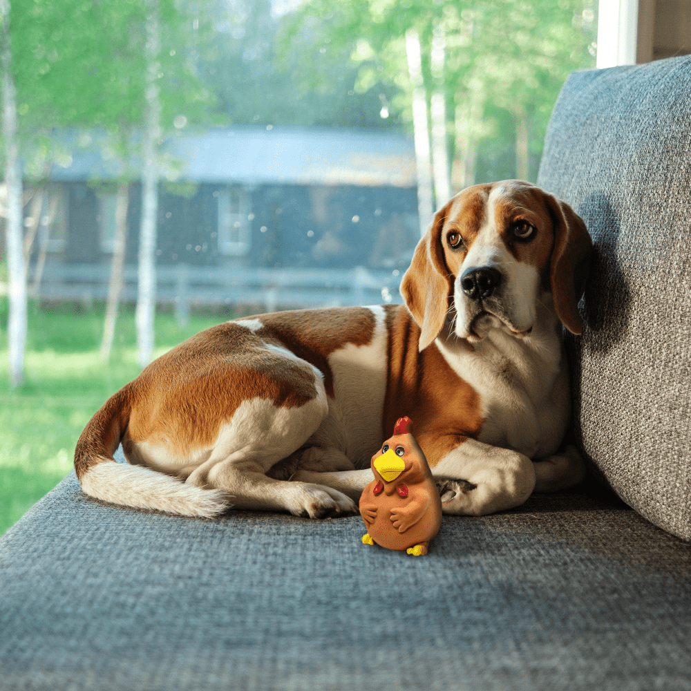 Barkbutler x Fofos Latex Bi Rooster Squeaky Toy for Dogs (Brown) image 9