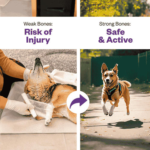 TailsAlive Calcium Chicken Flavor Soft Chews Supplements for Dogs image 8