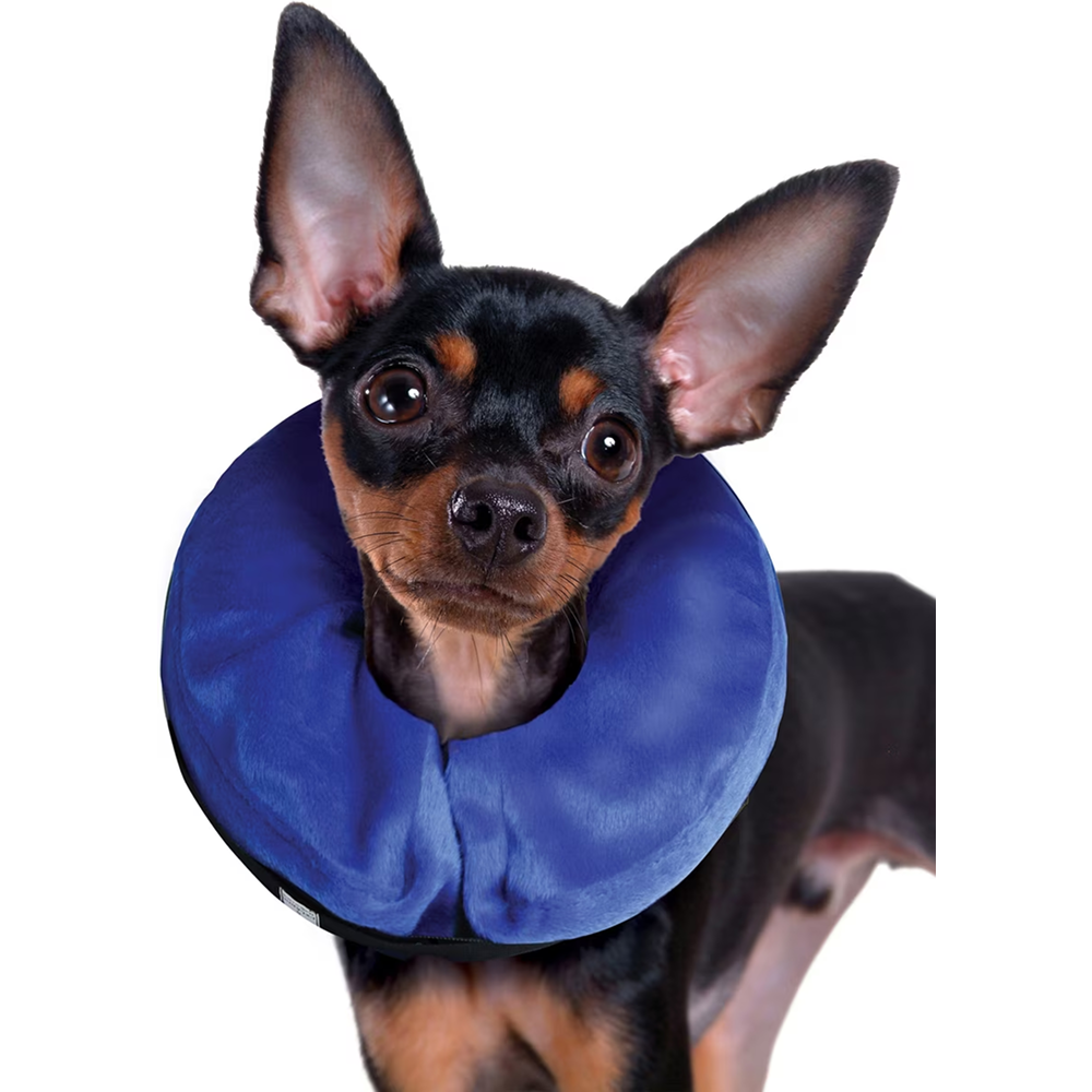 Kong E Collar Cloud Collar for Dogs (Blue) image 1