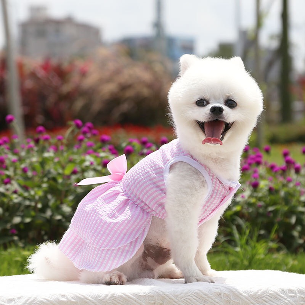 KUTKUT Princess Tutu Striped Dress for Small Breed Dogs & Cats (Pink) image 2