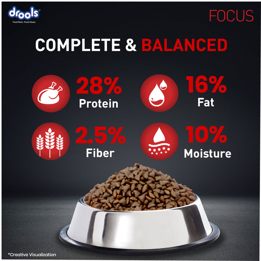 Drools Focus Super Premium Puppy Dog Dry Food | Corn & Wheat Free Formula image 9