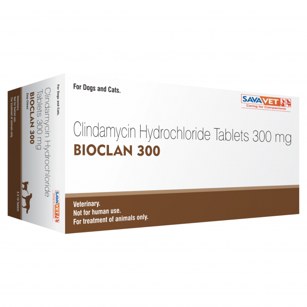 Savavet Bioclan (Clindamycin) Tablet for Dogs and Cats (pack of 10 tablets) image 3