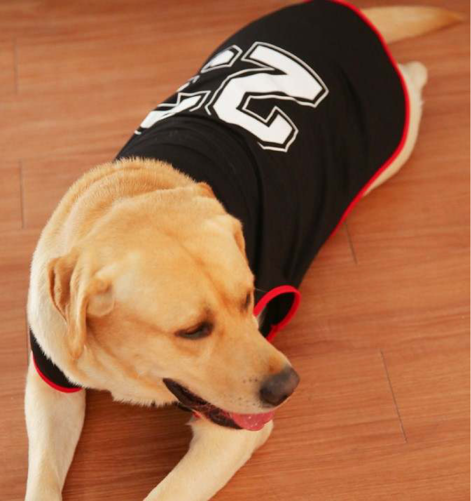Talking Dog Club Player Ltd Edition Sports Jersey for Dogs (Black) image 3