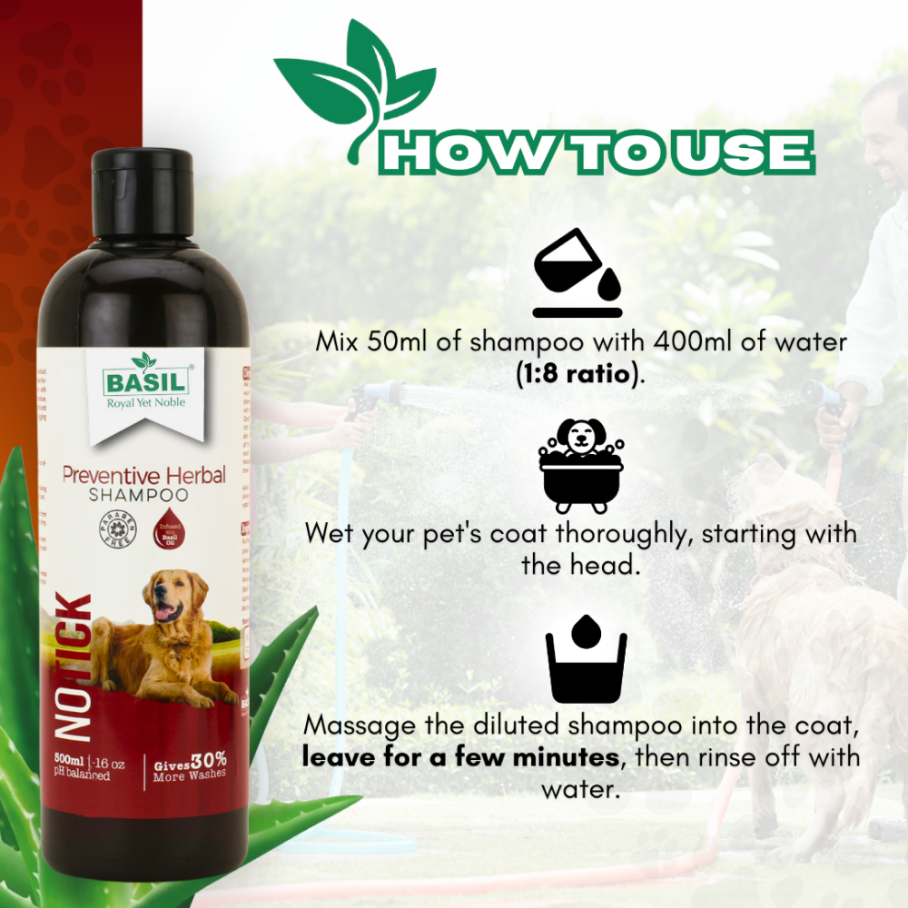 Basil Oat & Aloe Moisturising Shampoo for Dogs and Cats image 4