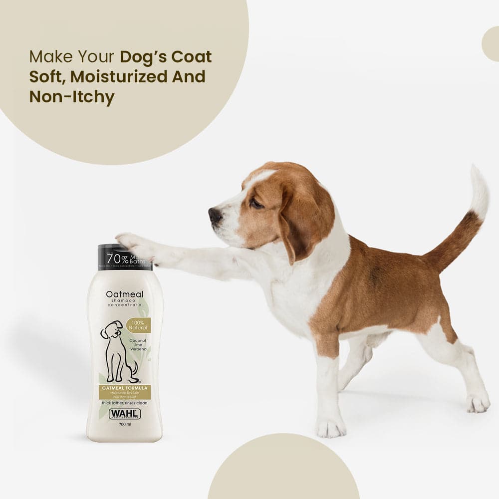 Wahl Oatmeal Lemongrass Sage Shampoo for Dogs image 5