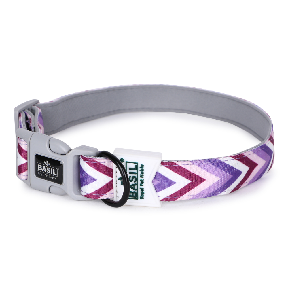 Basil Printed Collar for Dogs (Purple) image 5