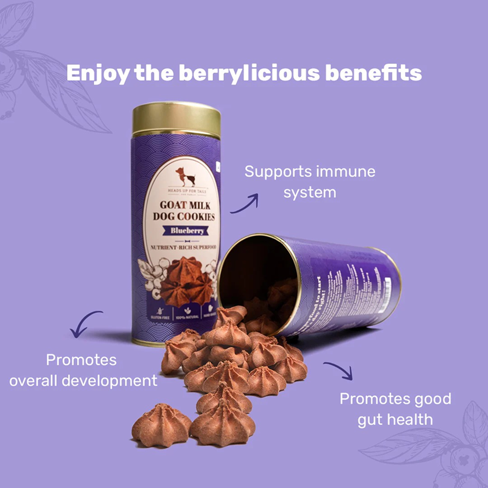 HUFT Gluten Free Goat Milk & Blueberry Cookie Dog Treats image 3