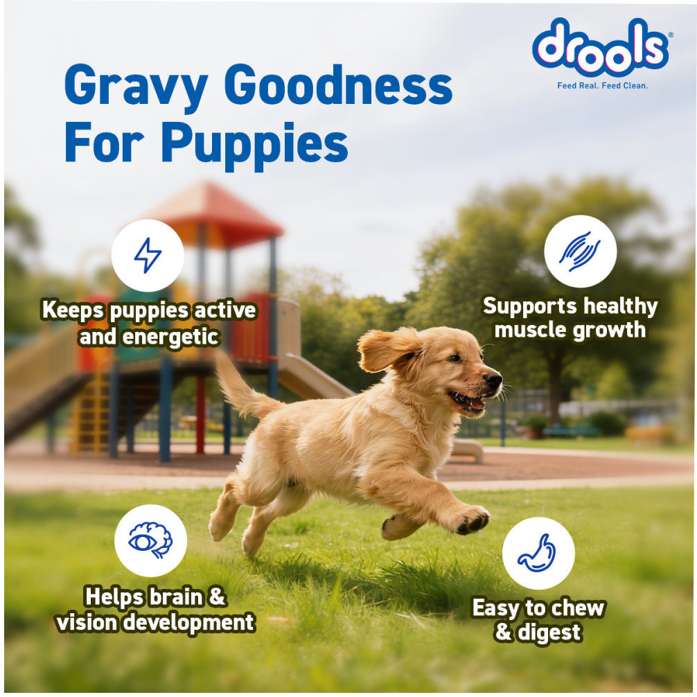 Drools Real Chicken & Chicken Liver Chunks in Gravy Puppy Dog Wet Food image 9