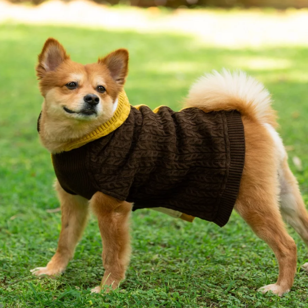 Petsnugs Cable Knit Sweater for Dogs and Cats (Brown/Mustard) image 4