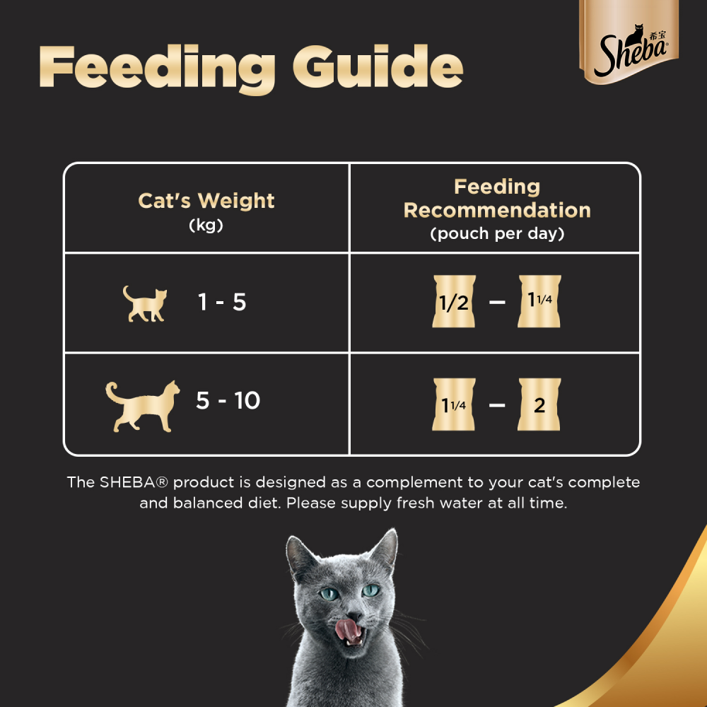 Sheba Skipjack & Salmon Fish, Maguro & Bream and Fish with Sasami Flake Premium Cat Wet Food Combo image 9