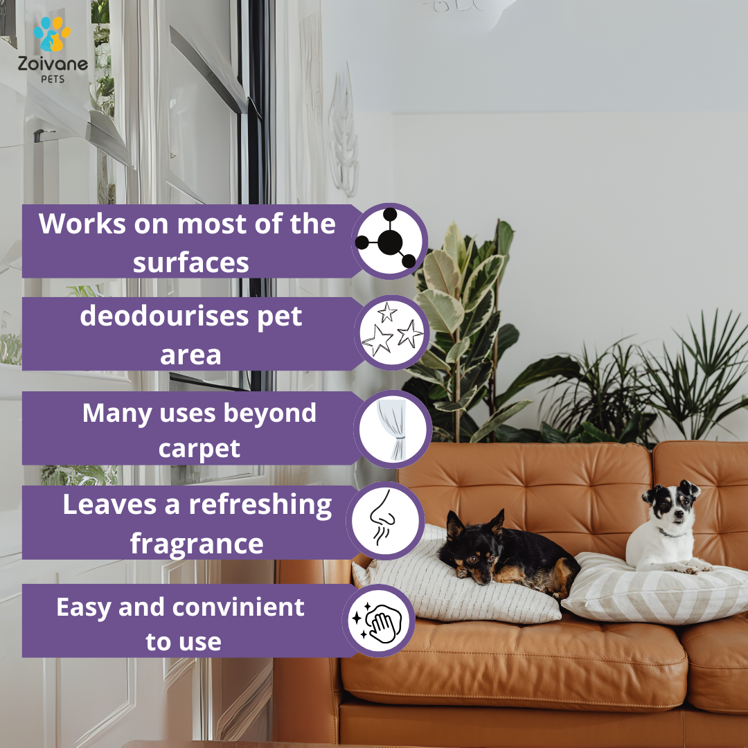Zoivane Pets Black Currant Odour Remover Spray for Dogs and Cats image 2