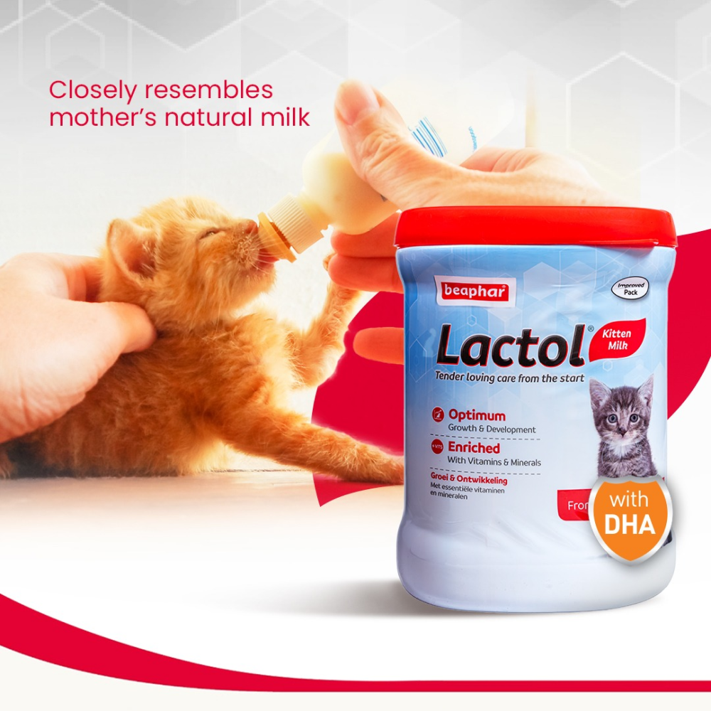 Beaphar Lactol Milk Replacement Powder for Kitten image 4