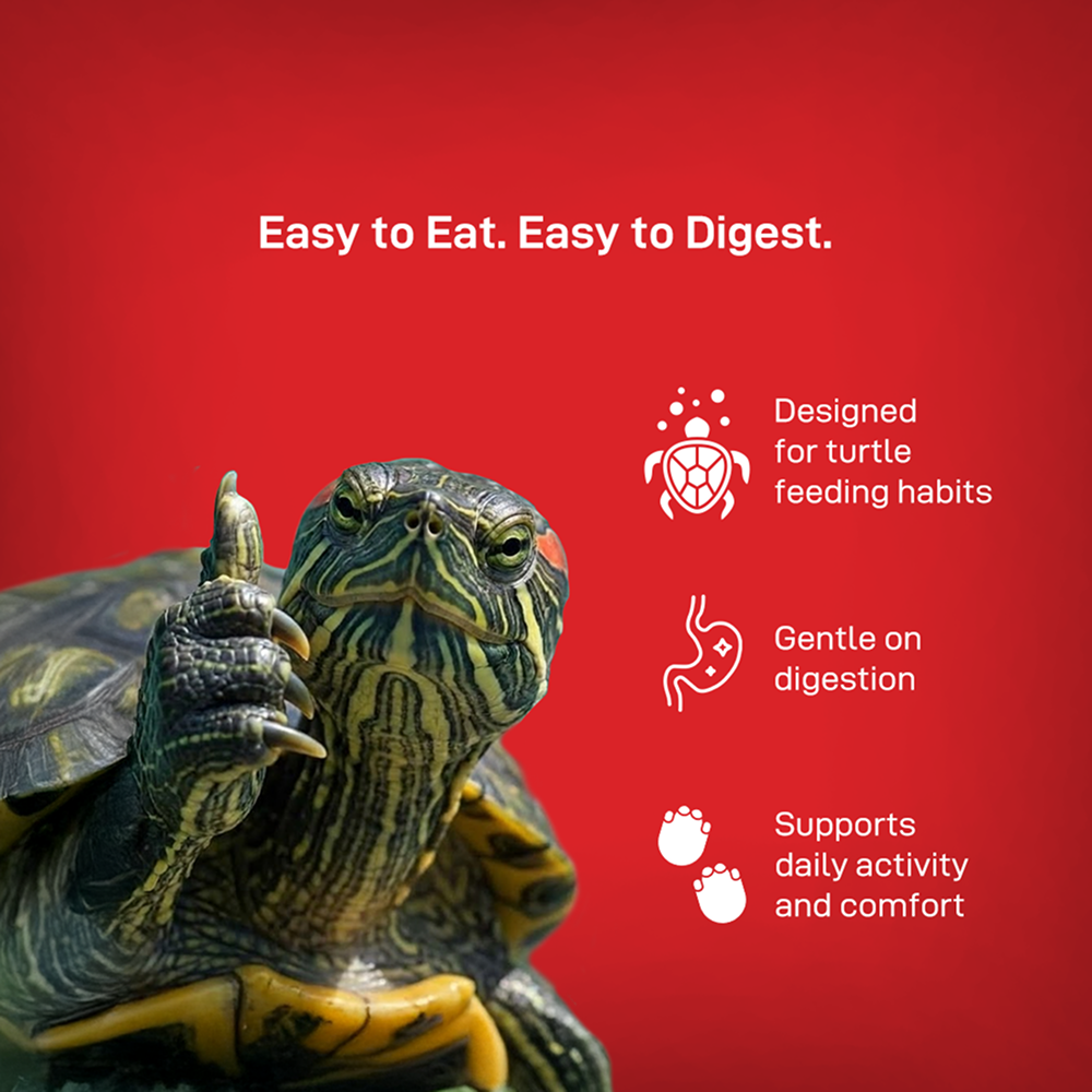 Drools Finsters Turtle Food image 10