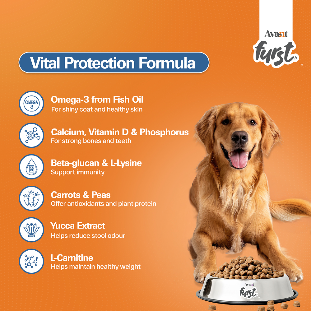 Avant Furst Chicken and Vegetable Adult Dog Dry Food image 7