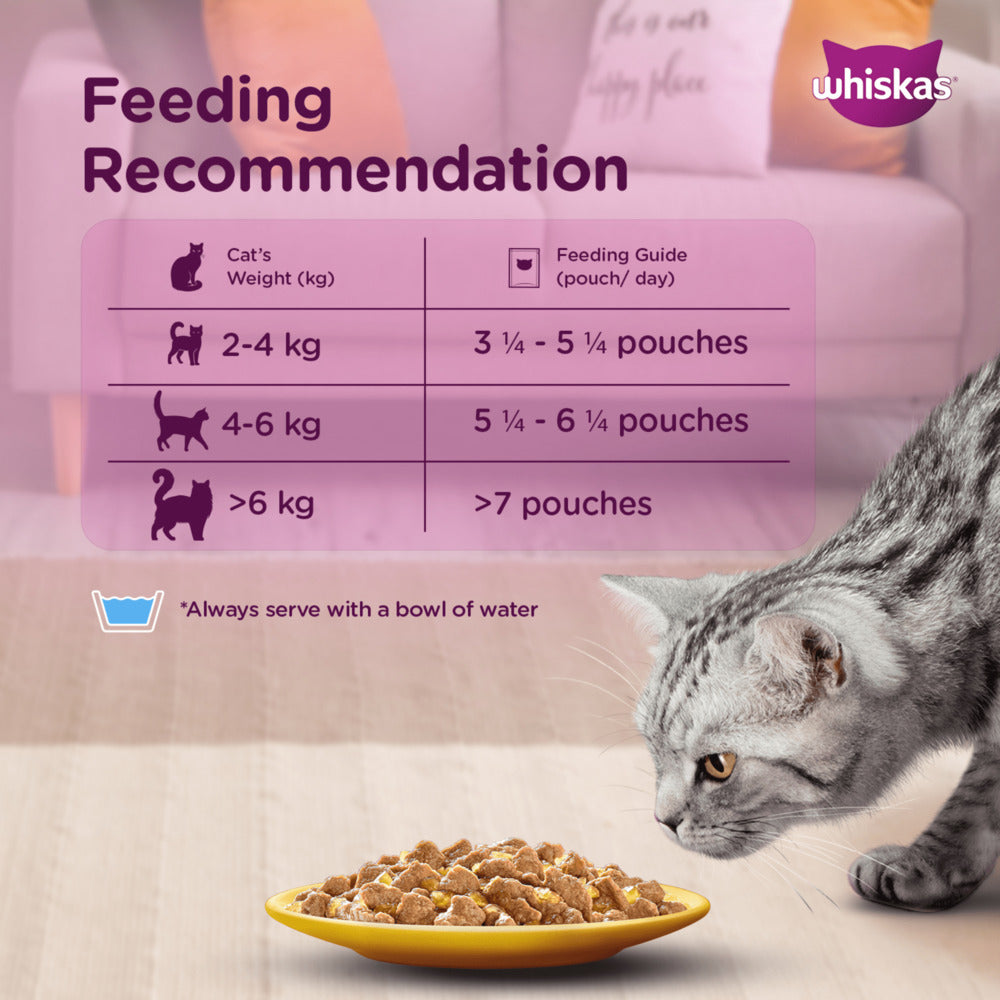 Whiskas Salmon in Gravy Meal and Chicken Gravy Adult Cat Wet Food Combo image 7