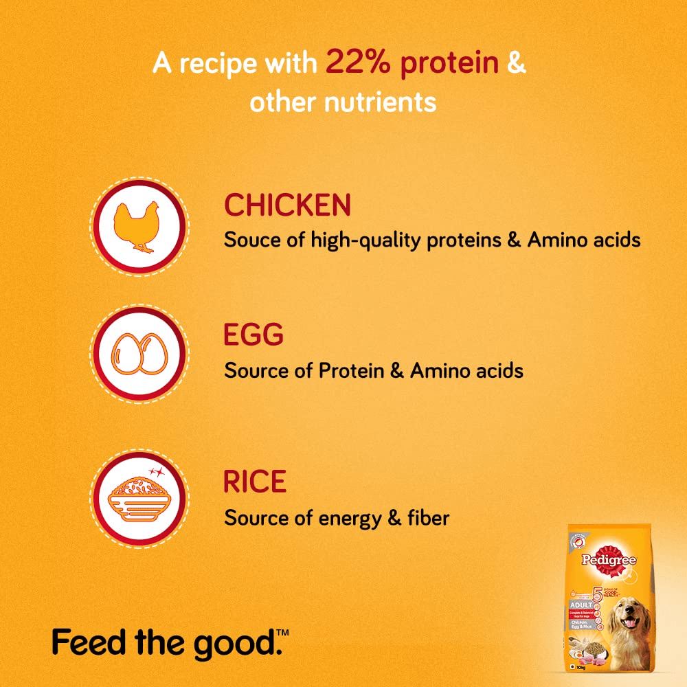 Pedigree Chicken, Egg and Rice Dry and Chicken and Liver Chunks in Gravy Wet Adult Dog Food Combo image 5