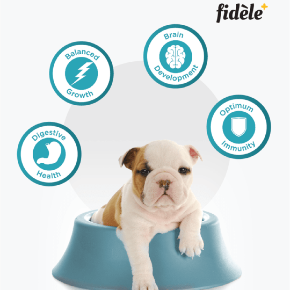 Fidele Plus Starter Puppy Dry Food image 3