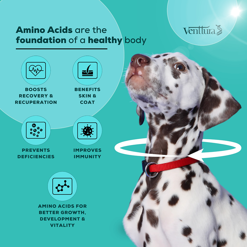 Venttura Amino Plus Syrup for Dogs image 3