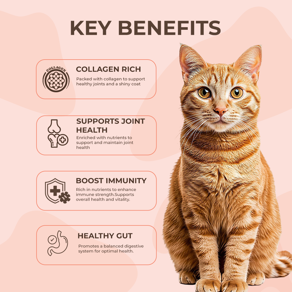 Bruno's Wild Essentials Atlantic Salmon Bone Broth For Cats image 2