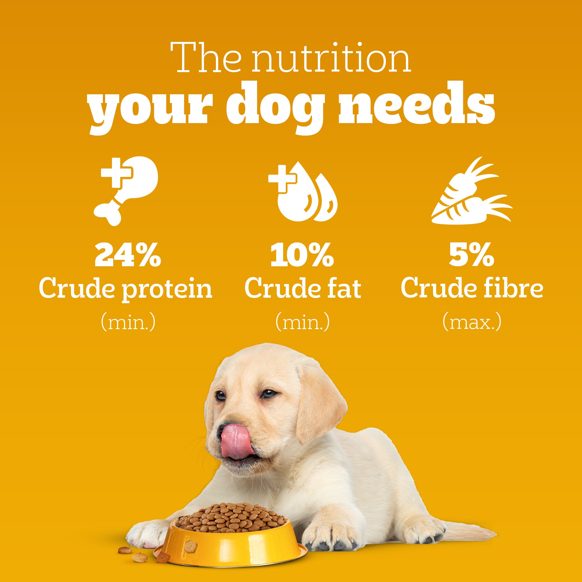 Pedigree Puppy Dog Food Combo |Meat & Milk Dry & Chicken & Liver Wet image 4