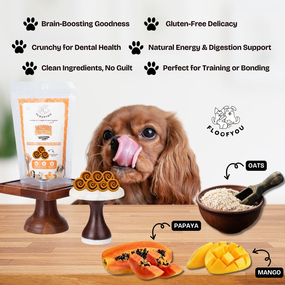 Floofyou Mango Papaya Vegan Oven Baked Cookie Dog Treats image 3