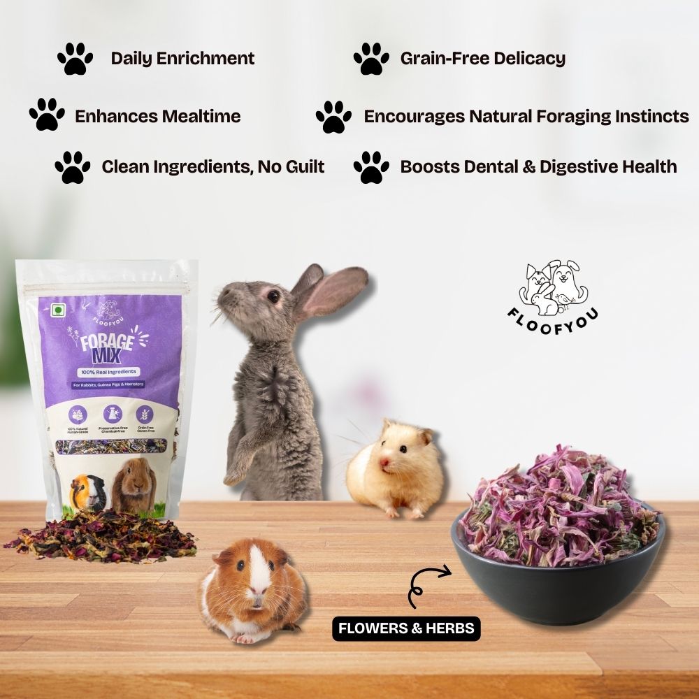 FloofYou Fibre Rich Forage Mix Rabbit Treats image 6