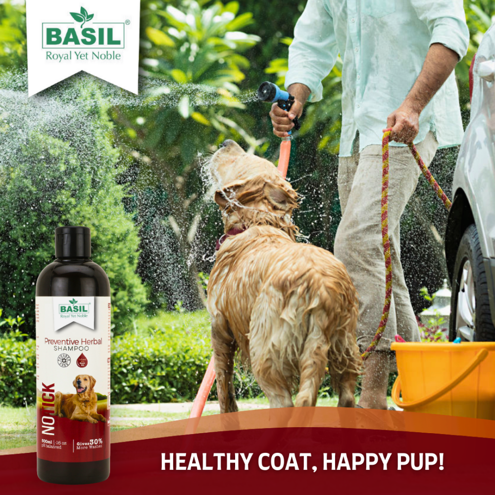Basil Oat & Aloe Moisturising Shampoo for Dogs and Cats image 5
