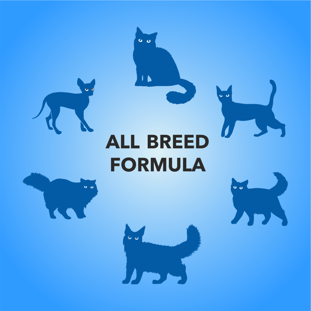 Purepet Real Chicken & Chicken Liver in Gravy Cat Wet Food image 7