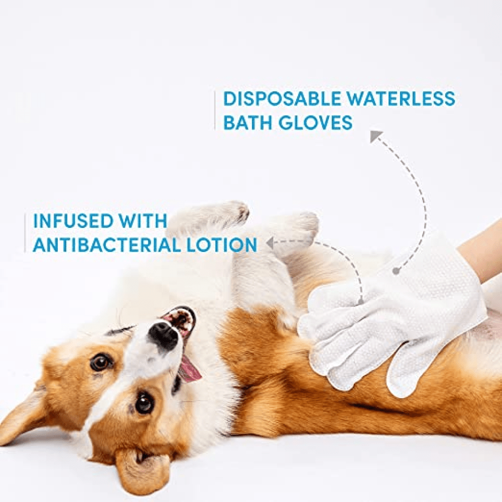 Barkbutler x Fofos 8 Waterless Wash Gloves for Dogs and Cats image 3