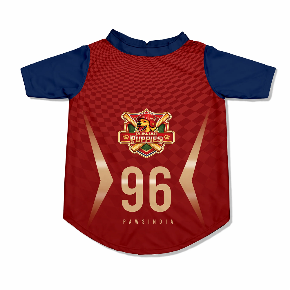 Pawsindia Punjab Puppies T20 Pets Premier League Jersey for Cats | Indian Pet League