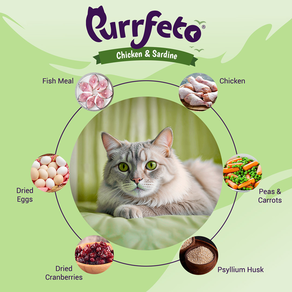 Purrfeto Chicken and Sardine Adult Cat Dry Food image 3