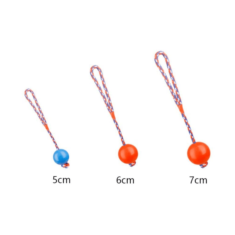 Emily Pets Rubber Ball with Rope Chew Toy for Dogs (Red) image 3