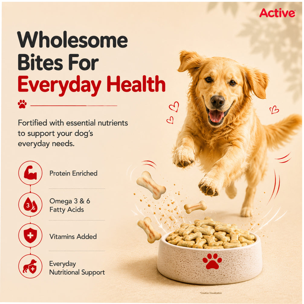 Active Chicken and Vegetables Biscuit Dog Treats (Buy 1 Get 1) image 5