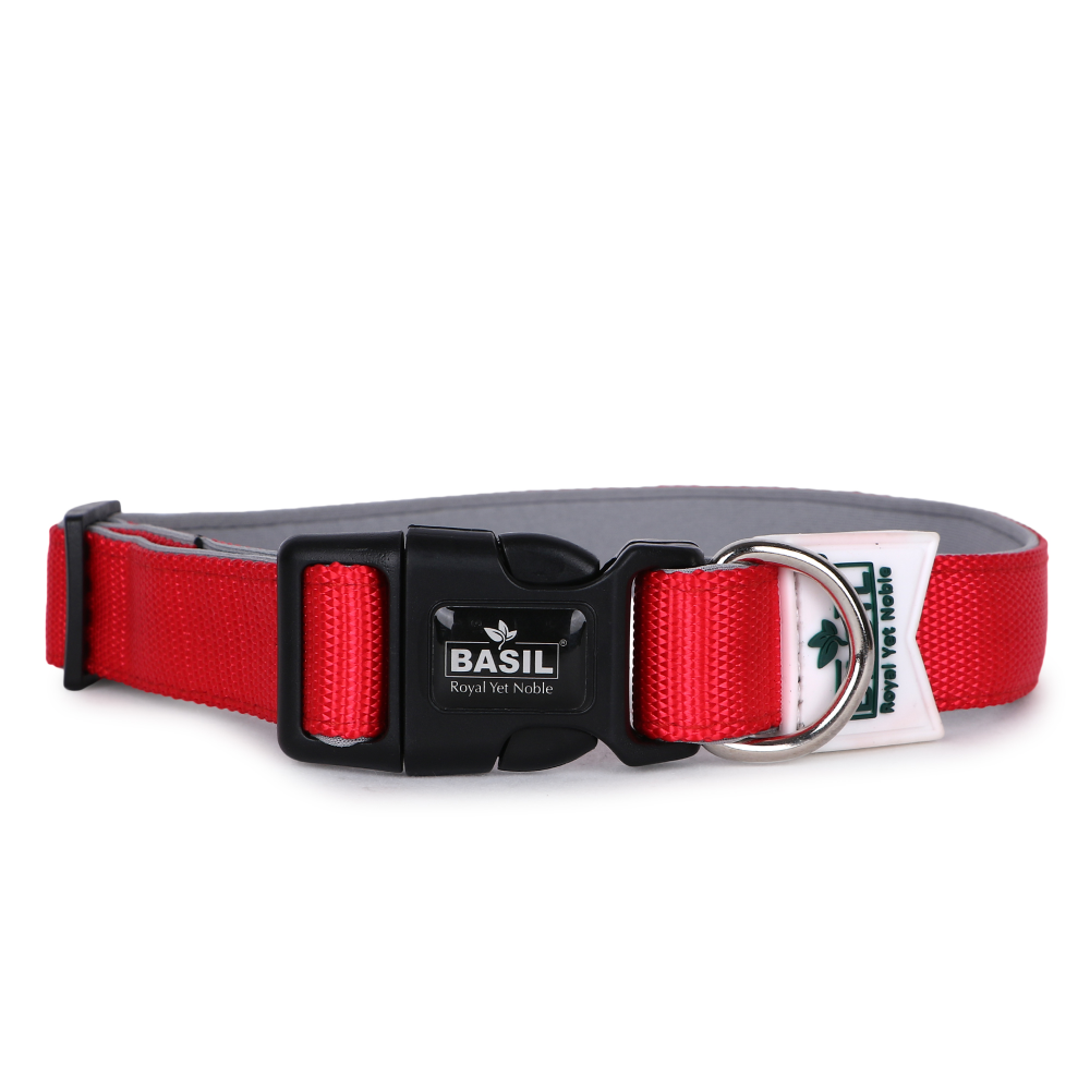 Basil Nylon Padded Collar for Dogs (Red) image 2