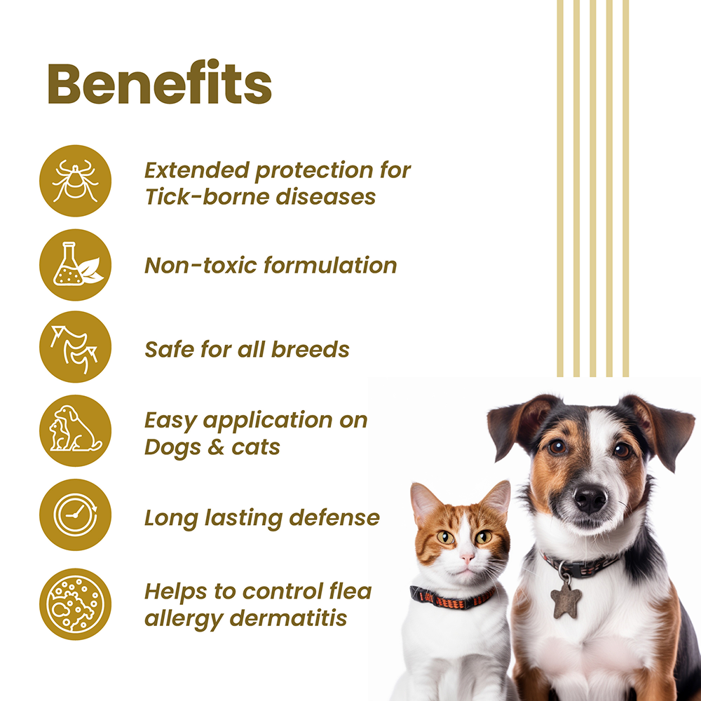 Vivaldis Vi-Fi Forte Spray (Fipronil) Tick & Flea Control for Dogs & Cats (100ml) image 3