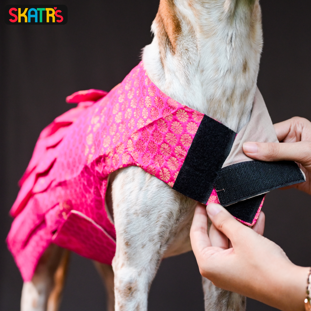 Skatrs Brocade Gold Printed Dress for Dogs and Cats (Pink) image 8