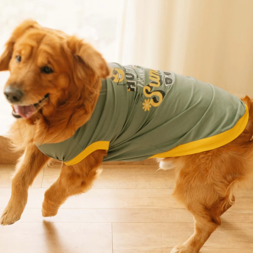 Pet Set Go Hotter Than The Summer Sleeveless T Shirt for Dog (Green) image 3
