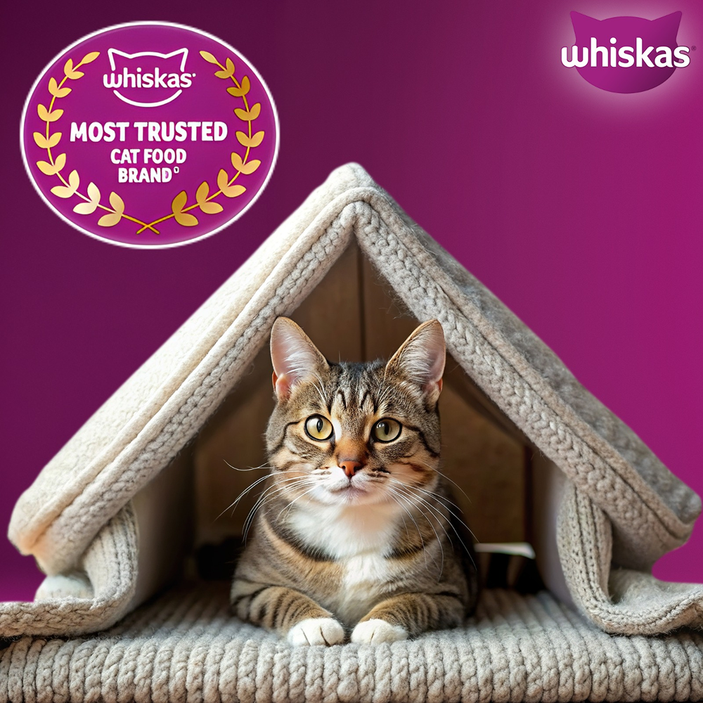 Whiskas Mackerel Flavour Dry Food for Mother and Baby Cat image 10