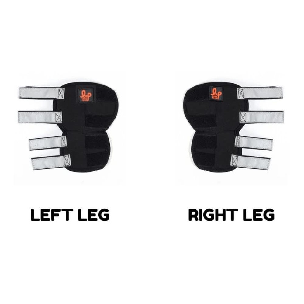 Lana Paws Back Leg Splint Braces for Hock Joint Ankle Support & Mobility for Dogs and Cats (Black) image 4