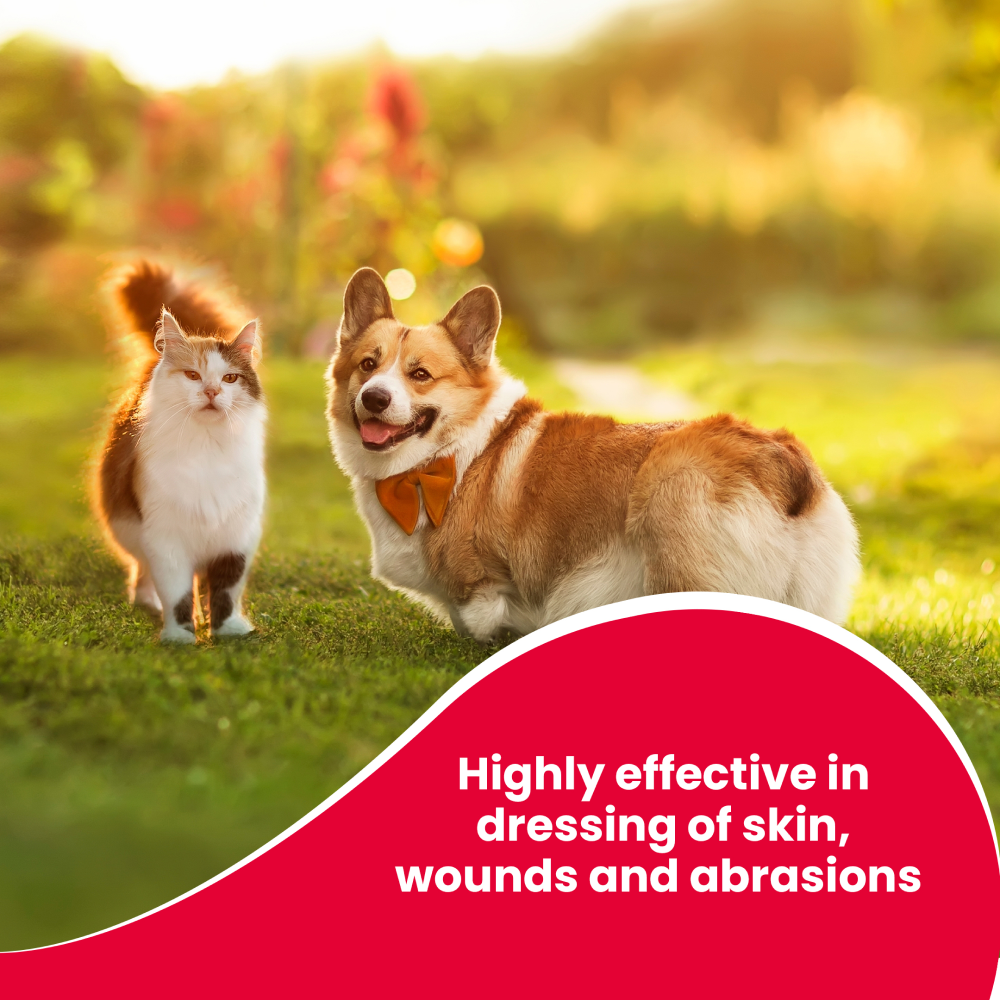 Beaphar Povidone Iodine Wound Healing Spray for Dogs and Cats image 5