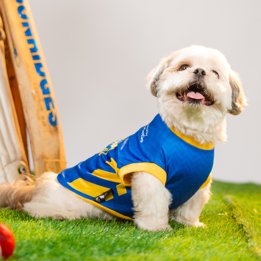 Pet Set Go Mumbai Woofians IPL Jersey for Dogs (Blue) | Indian Pet League image 5