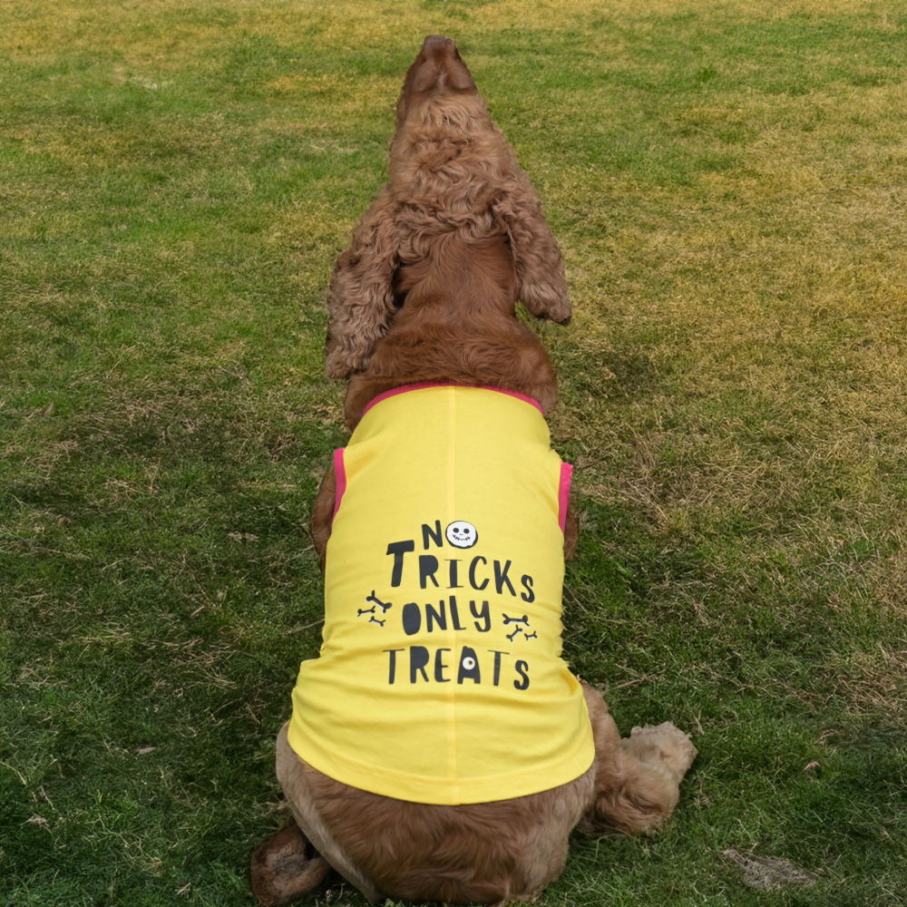 Skatrs No Tricks Only Treats Printed Summer Cotton T Shirt Dogs and Cats (Yellow) image 2