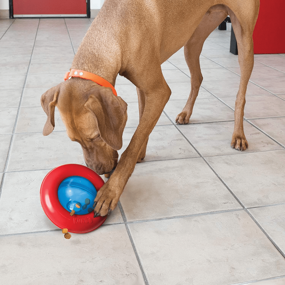 Kong Gyro Treat Dispensing Toy for Dogs image 5