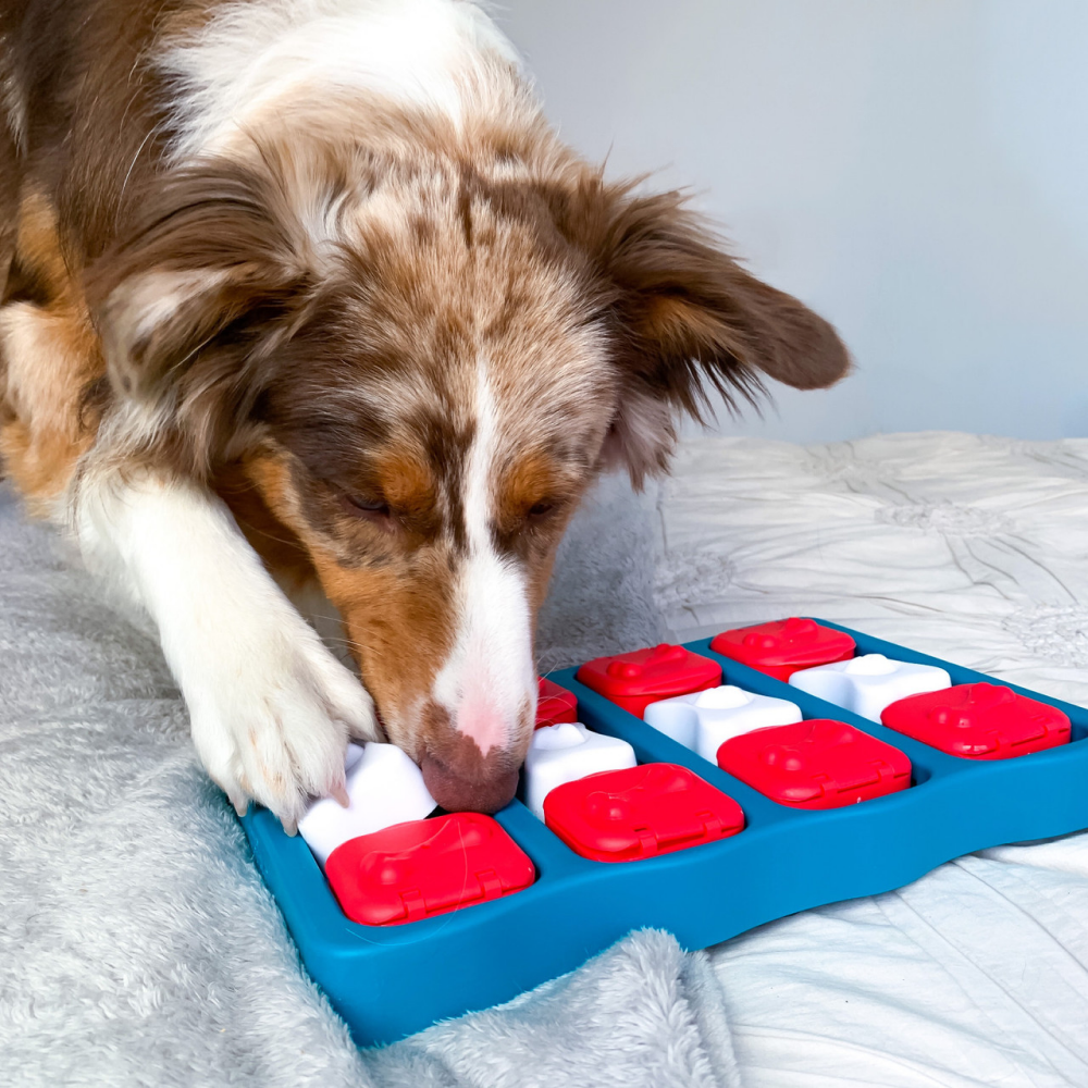 Outward Hound Nina Ottosson Brick Game for Dogs (Blue Level 2 Intermediate) | For Medium Chewers image 7