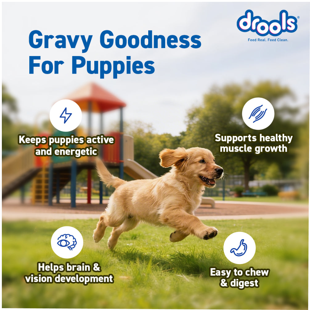 Drools Real Chicken & Chicken Liver Chunks in Gravy Puppy Dog Wet Food image 10