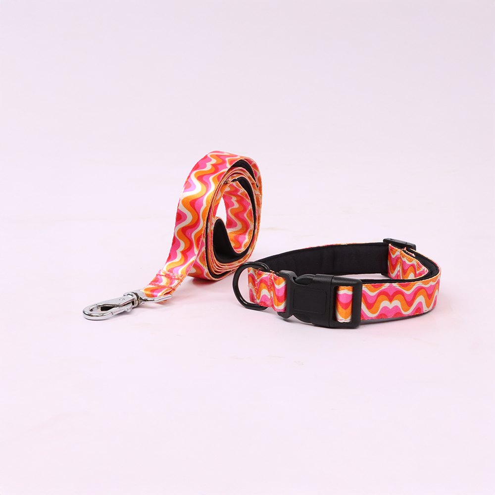 Skatrs Pop Groove Leash for Dogs image 4