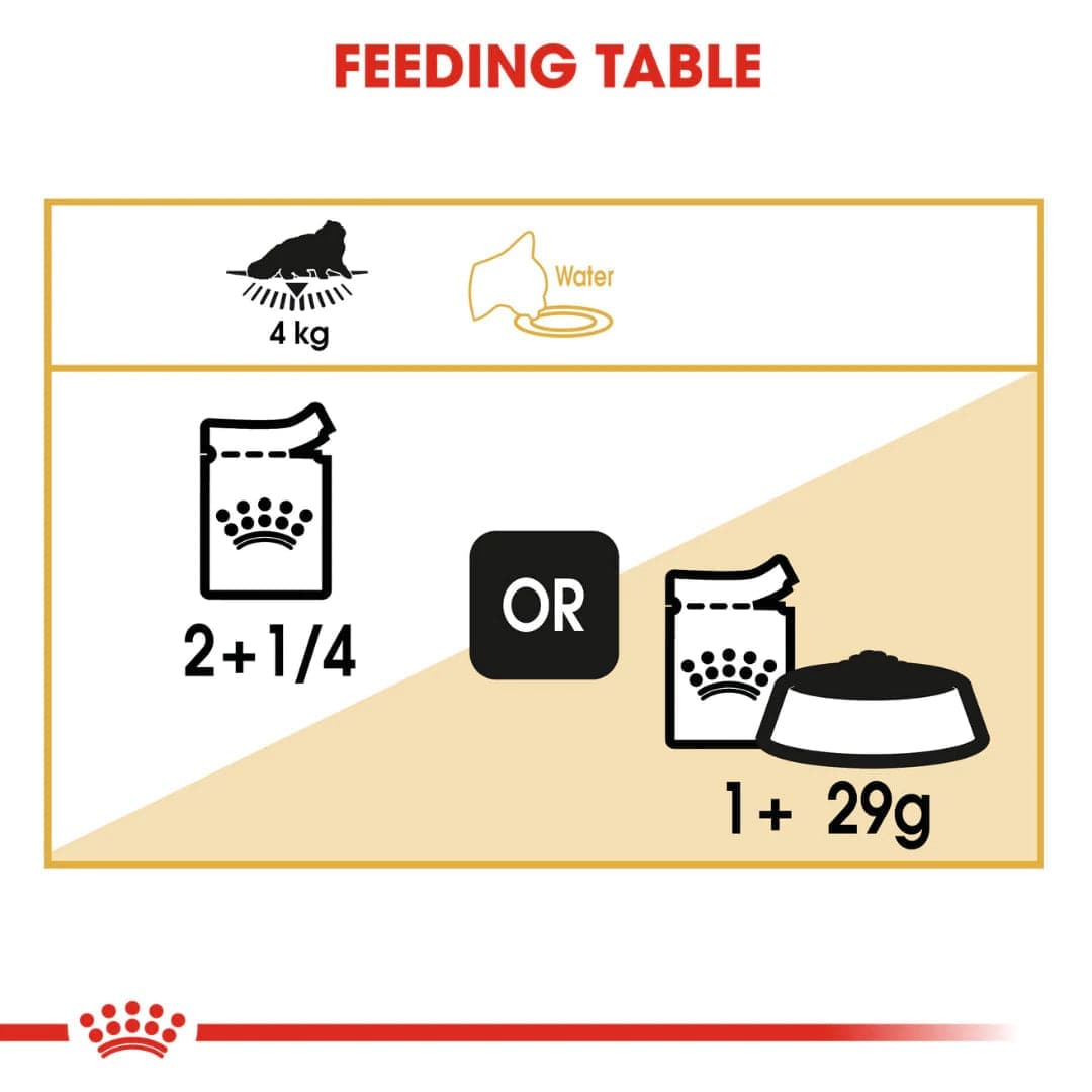 Royal Canin Persian Adult Loaf Cat Wet Food image 6