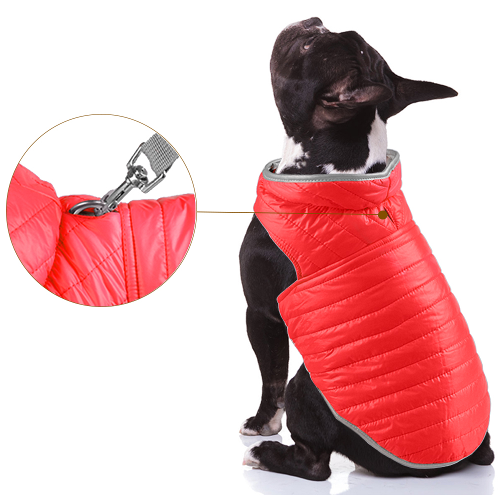 Talking Dog Club Double Trouble Reversible Jackets for Dogs (Red/Blue) image 3