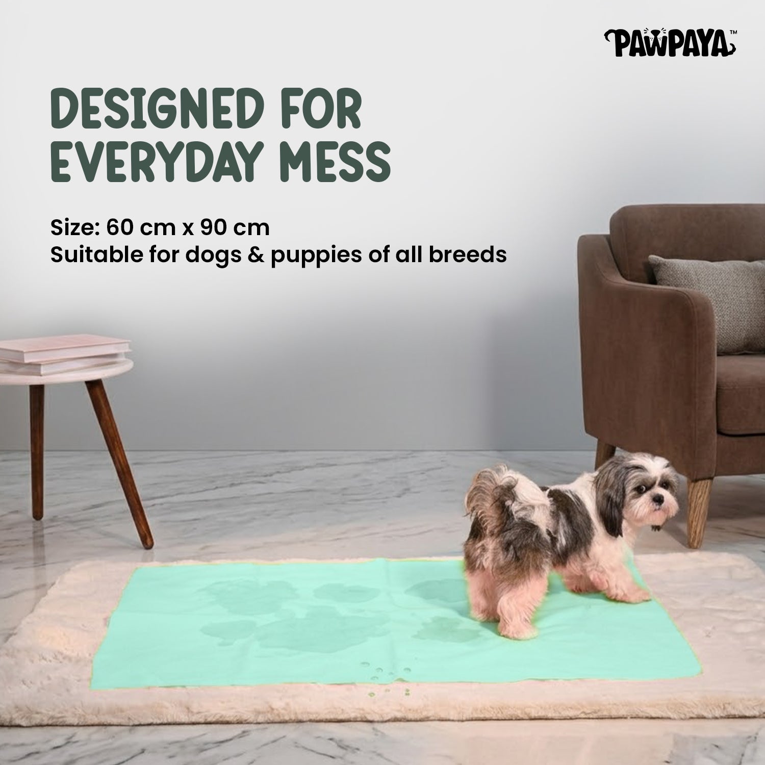 Pawpaya Washable Training Pads for Dogs (Pack of 1) image 6