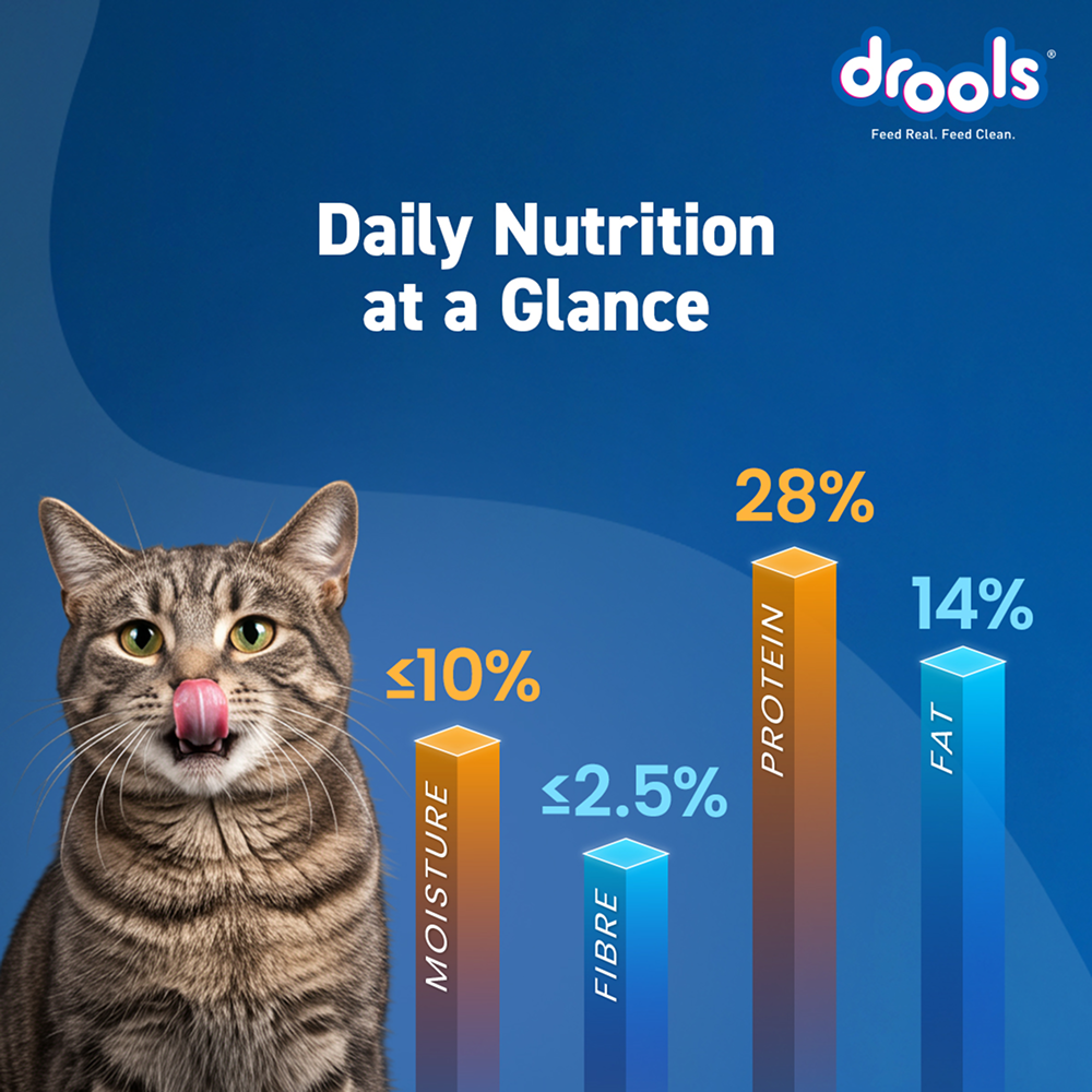 Drools Mackerel Adult Cat Dry Food image 4